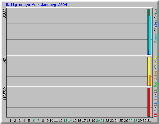 Daily usage for January 2024