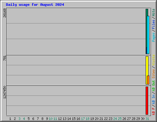 Daily usage for August 2024