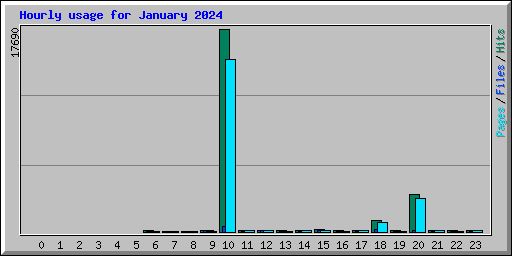 Hourly usage for January 2024