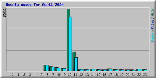 Hourly usage for April 2024