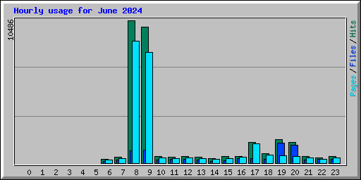 Hourly usage for June 2024