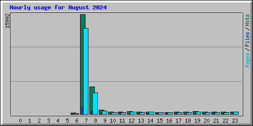 Hourly usage for August 2024