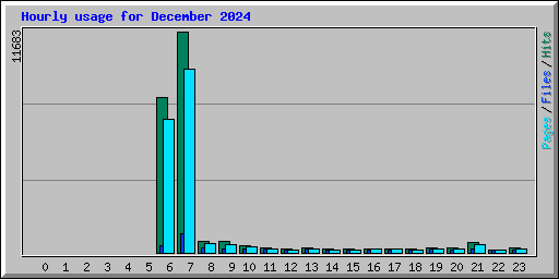 Hourly usage for December 2024