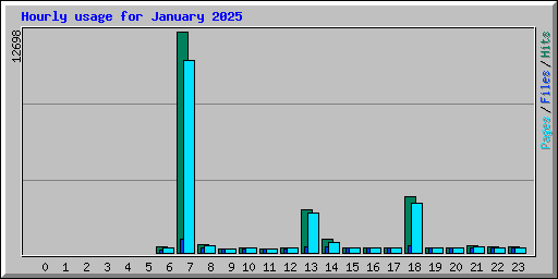 Hourly usage for January 2025